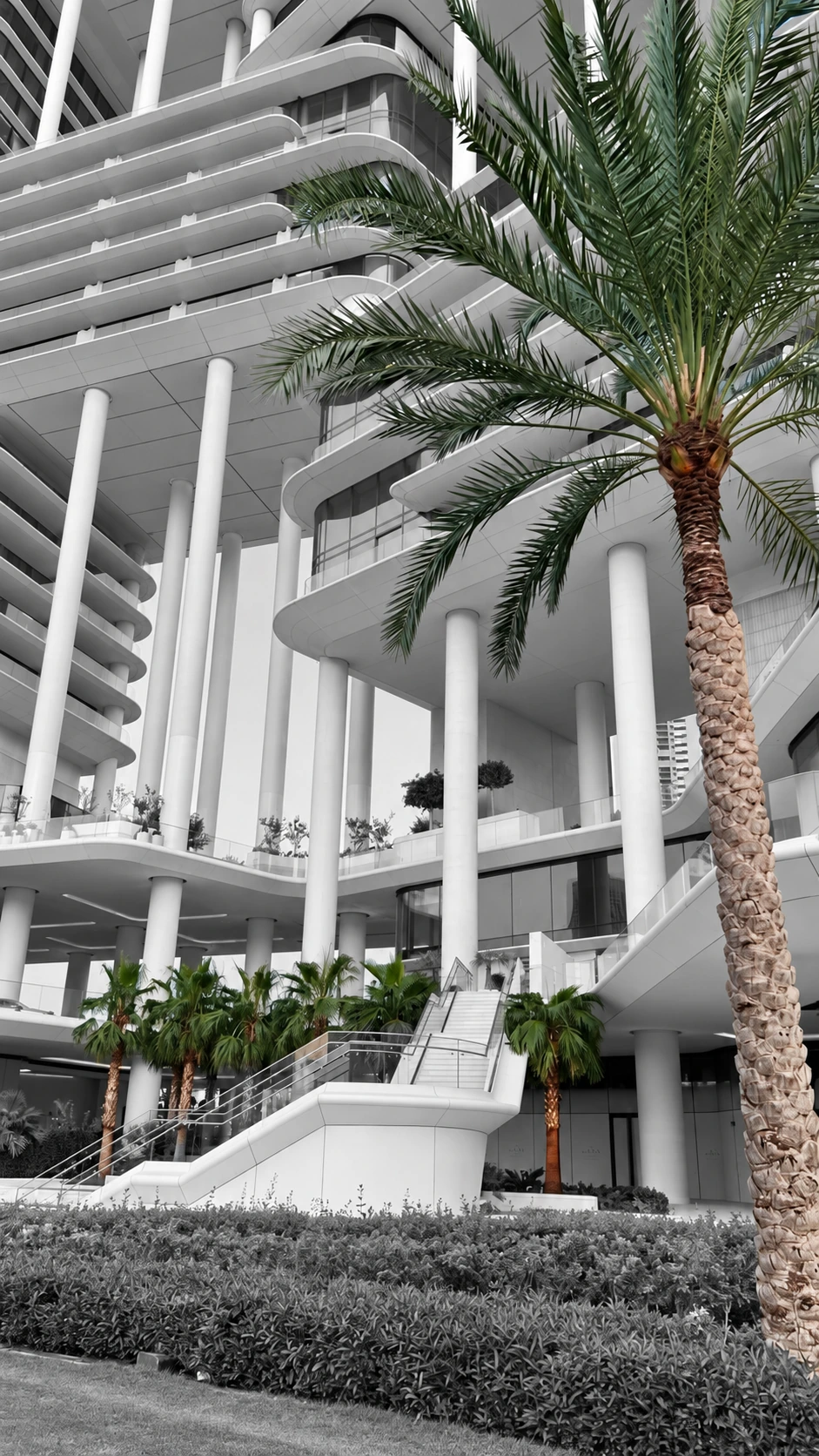 Grayscale Dubai architecture with the large foreground palm and smaller palms retained in natural colour